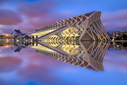 El Museu de les Ciències Príncipe Felipe of City of Arts and Sciences in Valencia