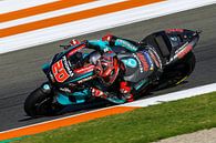 Fabio Quartararo/MotoGP Valencia van Marco Dek thumbnail