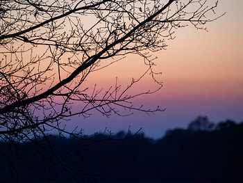 Kleur in de herst
