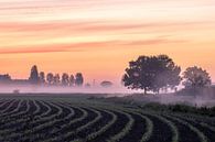 le lever du soleil sur les champs par Tania Perneel Aperçu