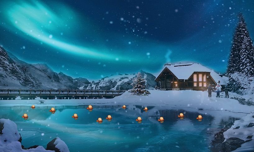 Northern Lights by Bertine Vrijland