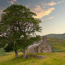 Old shed in the beautiful countryside of Scotland