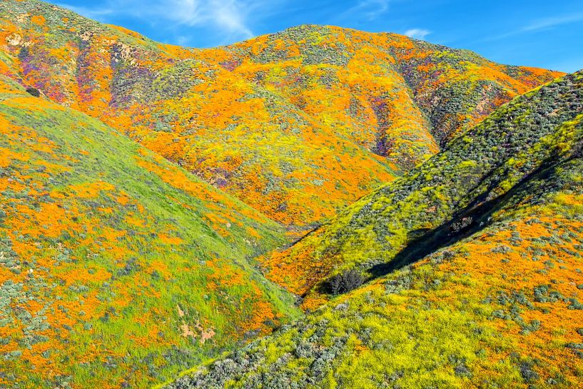 Hills Full Of The Sound Of Music by Joseph S Giacalone Photography