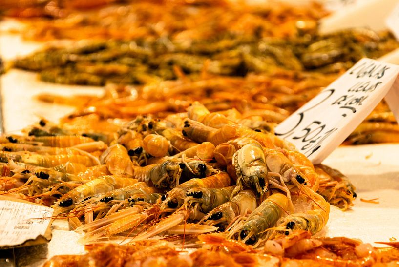 Crevettes et crevettes par Hans Verhulst