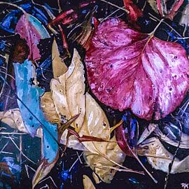 Leaves of the night