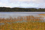 Mahinapua Lake - New Zealand by Shot it fotografie thumbnail