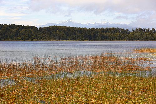 Mahinapua Lake / Nieuw - Zeeland