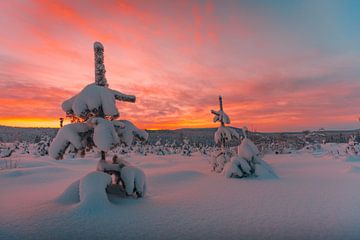 Zweden zonsondergang in winter 3 van Andy Troy