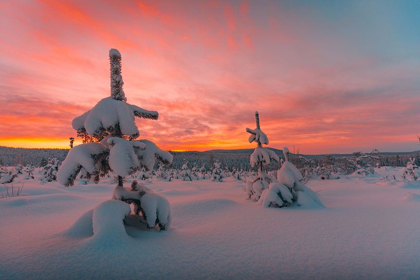 Zweden zonsondergang in winter 3 van Andy Troy