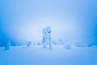 Sneeuwwerelden van Denis Feiner thumbnail