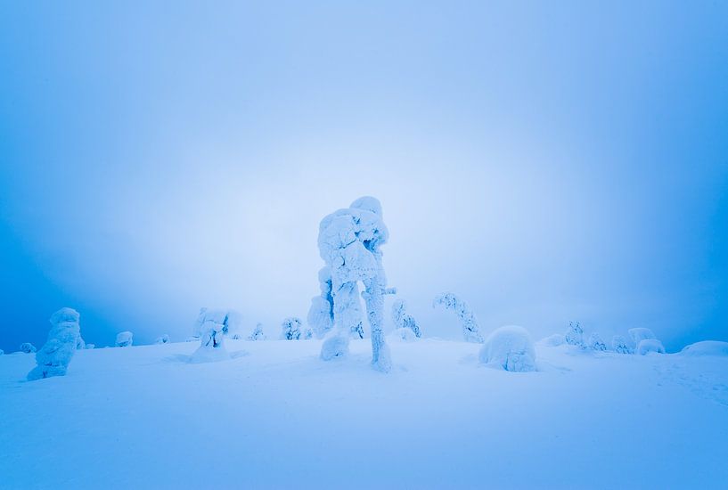 Sneeuwwerelden van Denis Feiner