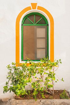 Groen en geel gebogen raam met planten | Gran Canaria - Puerto de Mogan | reisfotografie van Lisa Bocarren