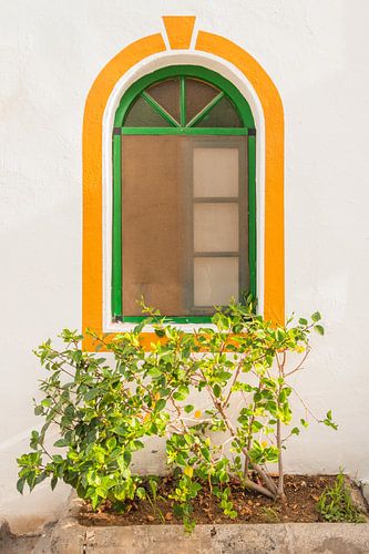 Green and yellow curved window with plants | Gran Canaria - Puerto de Mogan | travel photography