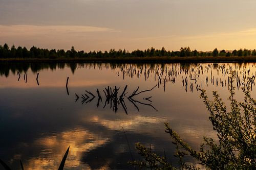 Avondstemming in de hei