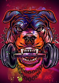 Pitbull de fer sur John Dan