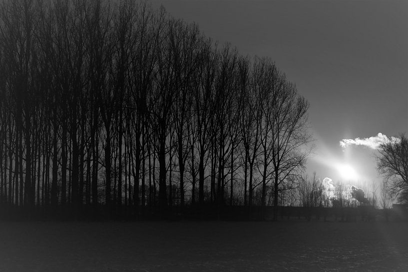 Winter Zone by Hannelore