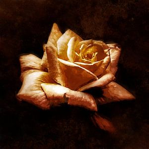 La rose von Andreas Wemmje