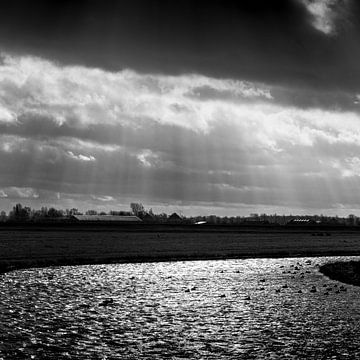 Wind en winter in waterland van Rene  den Engelsman