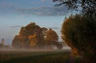 Foggy morning Opwierde Appingedam 5 by Johan van der Linde thumbnail