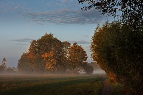 Foggy morning Opwierde Appingedam 5 by Johan van der Linde