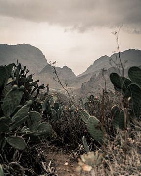 Tenerife | El teide | Photographie de paysage | Voyage sur Sander Spreeuwenberg
