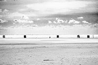 Basket-Chairs-04
