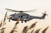 Royal Netherlands Navy NH90
