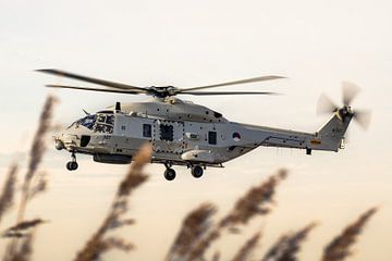 Royal Netherlands Navy NH90 van Maxwell Pels