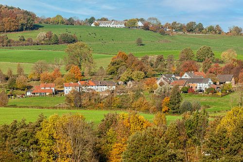 Herfstkleuren op de heuvels van Zuid-Limburg