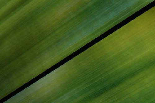 De moderne tijd in een groen jasje