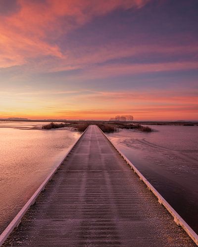 Zonsopkomst bij natuurgebied Tusschenwater
