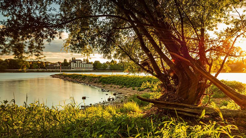 Bonn von Jens Unglaube