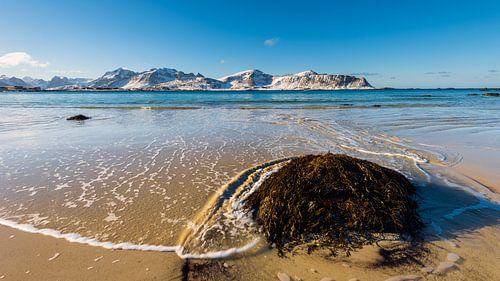Der berühmte tropisch anmutende Sandstrand bei Ramberg auf den Lofoten in Norwegen an einem klaren W