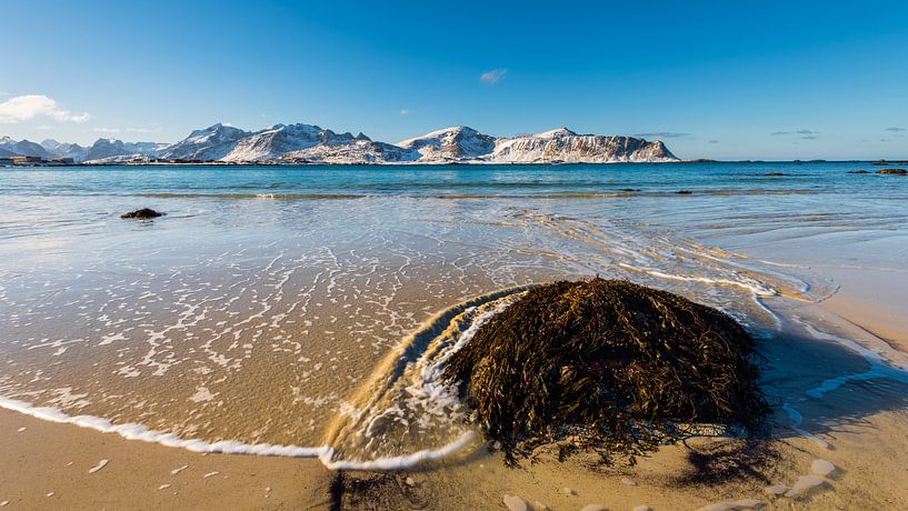The famous tropical looking sand beach near Ramberg on the Lofoten islands in Norway on clear winter by Robert Ruidl