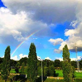 Regenbogen in einer Landschaft von Wessel Luiting