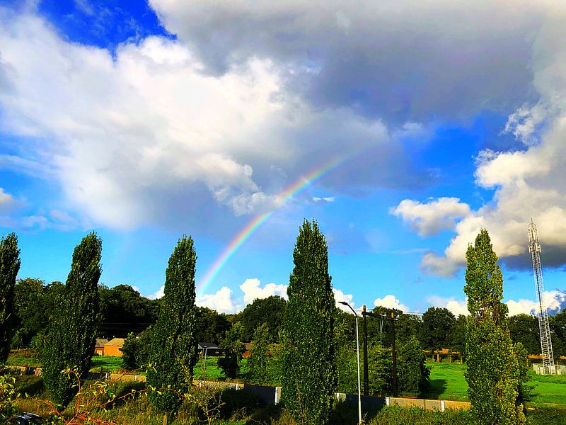 Regenboog in een landschap van Wessel Luiting
