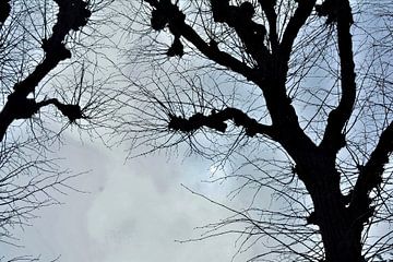 Bomen