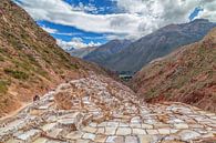 Salineras de Maras (Peru) von Tux Photography Miniaturansicht