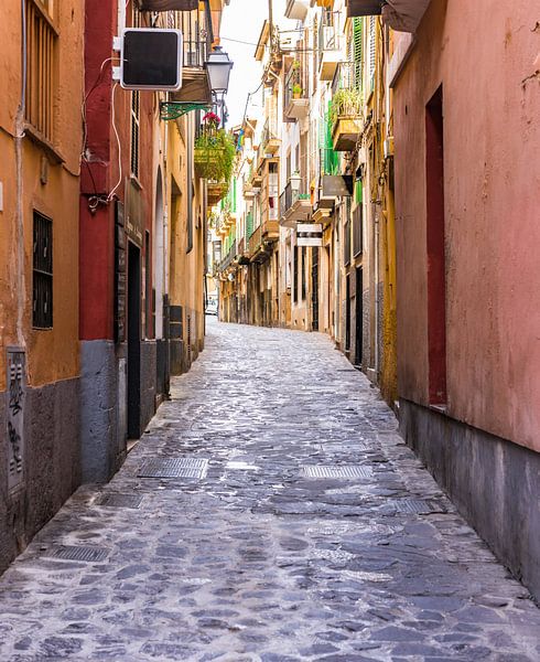 Straße in der Altstadt von Palma de Mallorca, Spanien, Balearische Inseln von Alex Winter