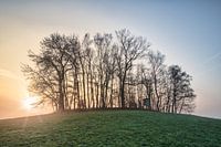 Lentemorgen