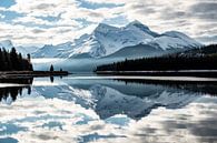 Maligne Lake im Jasper National Park von Suzanne Brand Miniaturansicht