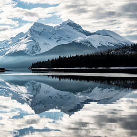 Maligne Lake, Jasper, Canada van Suzanne Brand