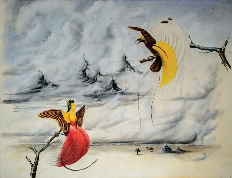The Gravity of Paradise by DadArt