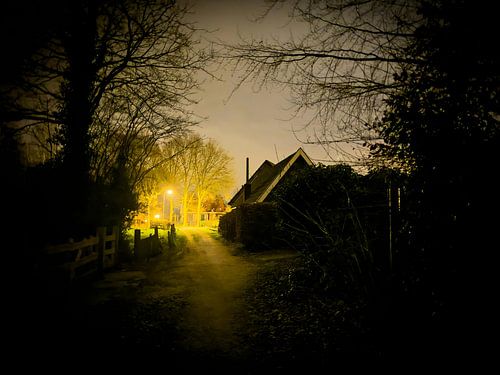 Illuminated country road at night