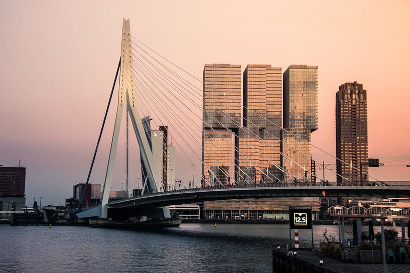 The downfall by Ton Kool