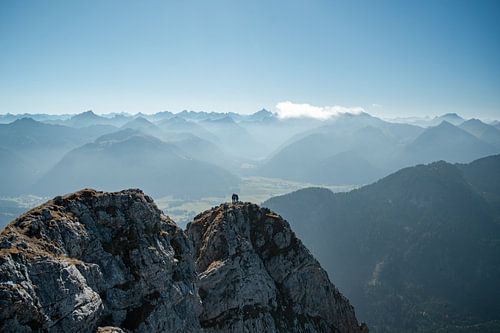 Klimmer op de top van de Aggenstein met uitzicht op het Tannheimer Tal en de Allgäuer Alpen, zoals de Hochvogel