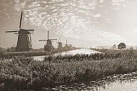 Vroeg op Kinderdijk by Teuni's Dreams of Reality thumbnail