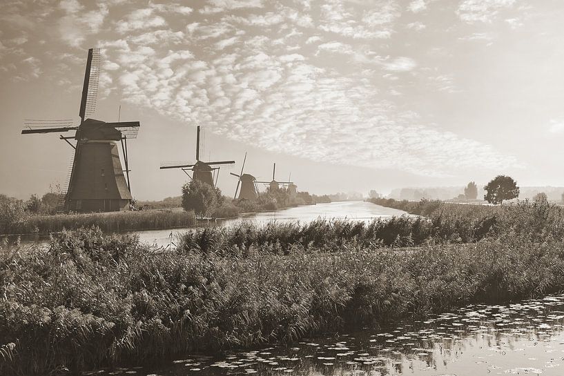 Vroeg op Kinderdijk by Teuni's Dreams of Reality