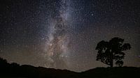The galaxy manifests itself in a clear night