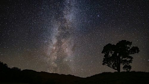 Die Galaxie manifestiert sich in einer klaren Nacht.